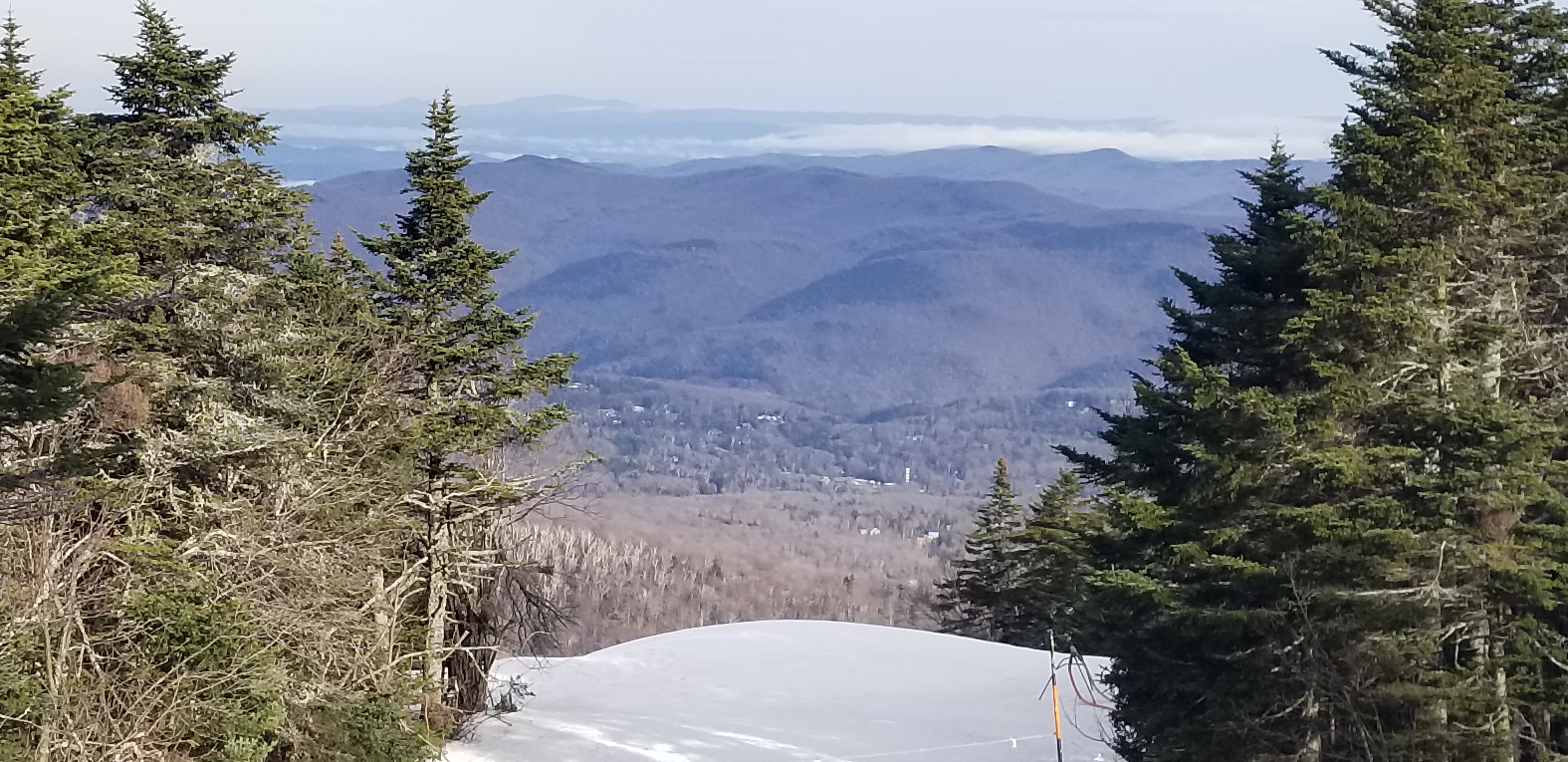 The Tale of your Future is along the Trail you choose!